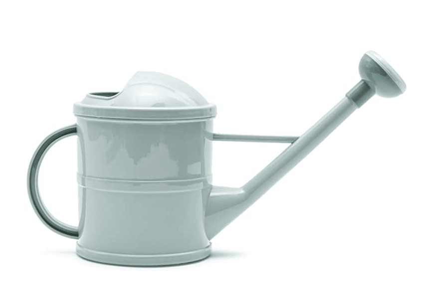 mint watering can