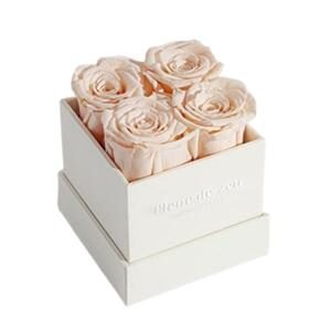 amazon mother's day gifts