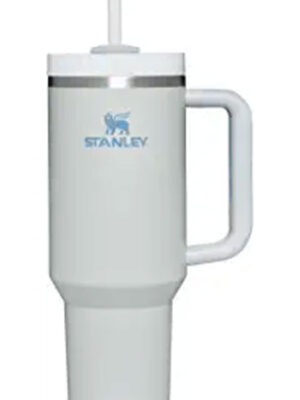 Stanley mug in fog