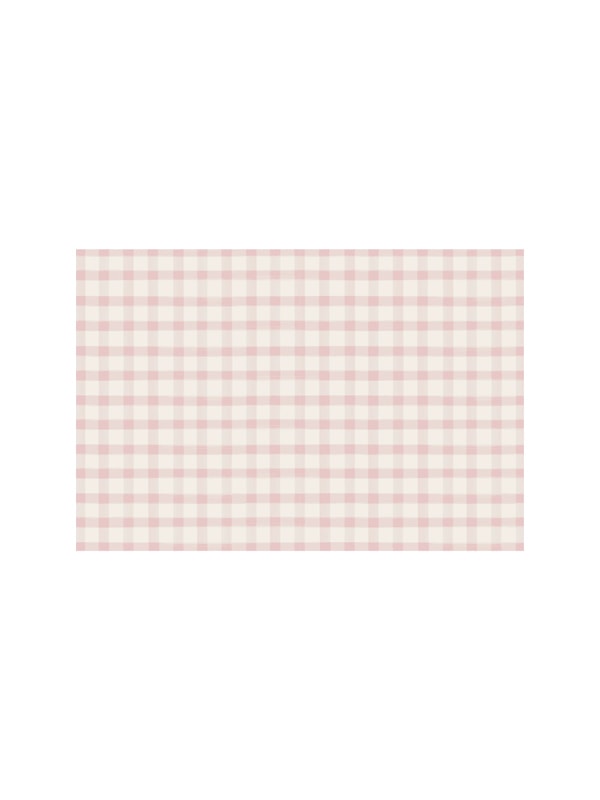 JUST IN HESTER & COOK Pink Painted Check Placemat