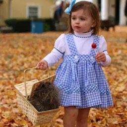 little girls dorothy wizard of oz costume and basket