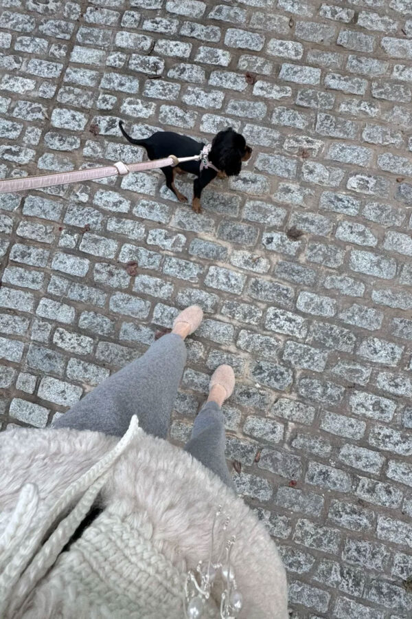 Emily wearing fluffy cream sweater and walking new dog