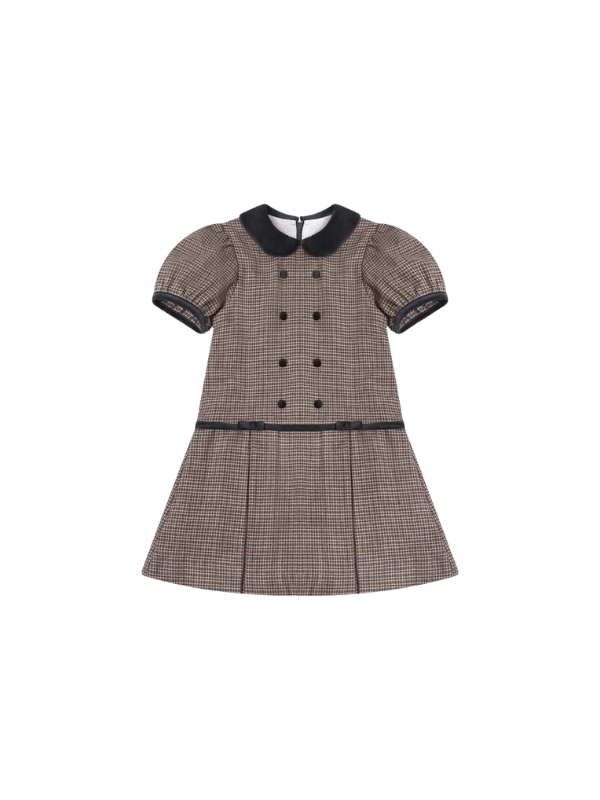 Brown Check Camala Girl Drop Waist Dress Holiday Card Photos Outfits